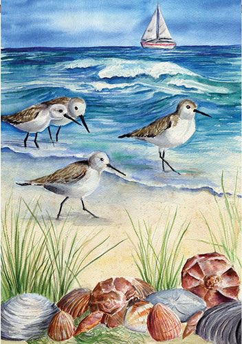 чайки...море и песок - ракушки, море, чайки, песок - оригинал