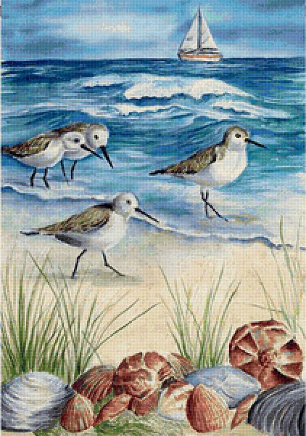 чайки...море и песок - песок, чайки, море, ракушки - предпросмотр