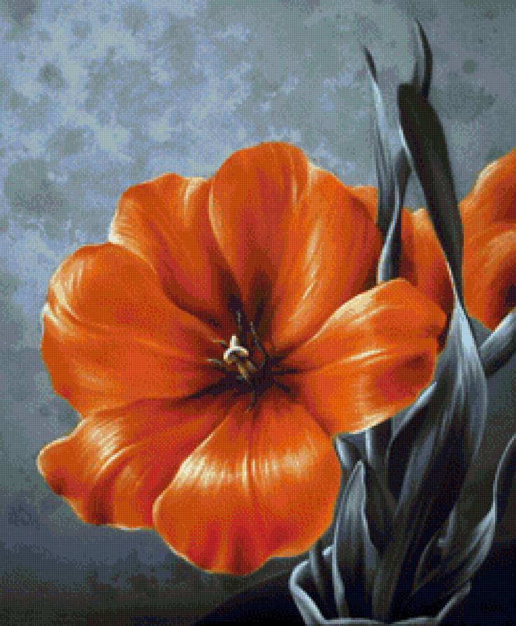 цветок - цветы, оранжевые - предпросмотр