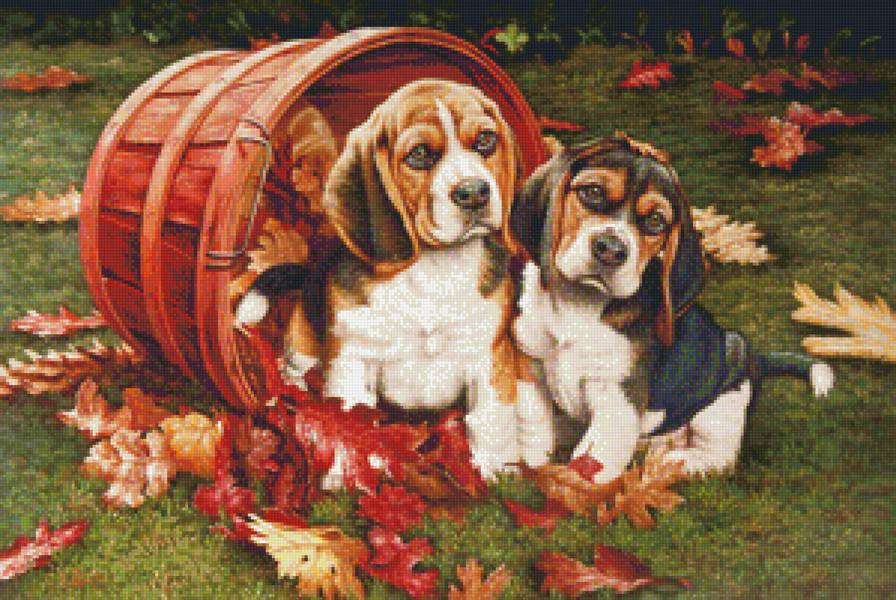 Щенки - собака, пес, животные - предпросмотр