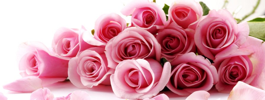 розы в букете (бордюр) - букет, розы, бордюр - оригинал