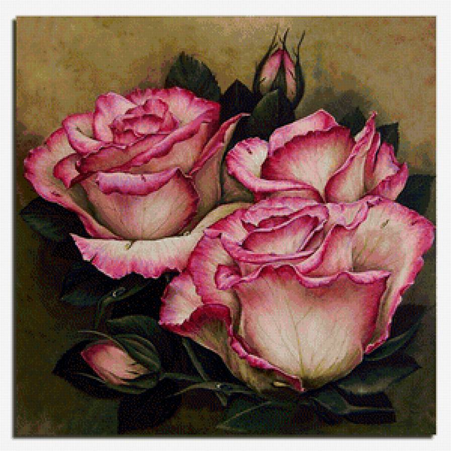 розы - цветы - предпросмотр