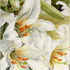 Оригинал схемы вышивки «акварельные лилии» (№1224624)