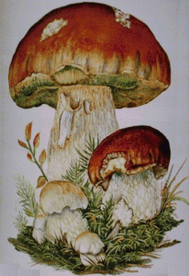 грибочки - предпросмотр