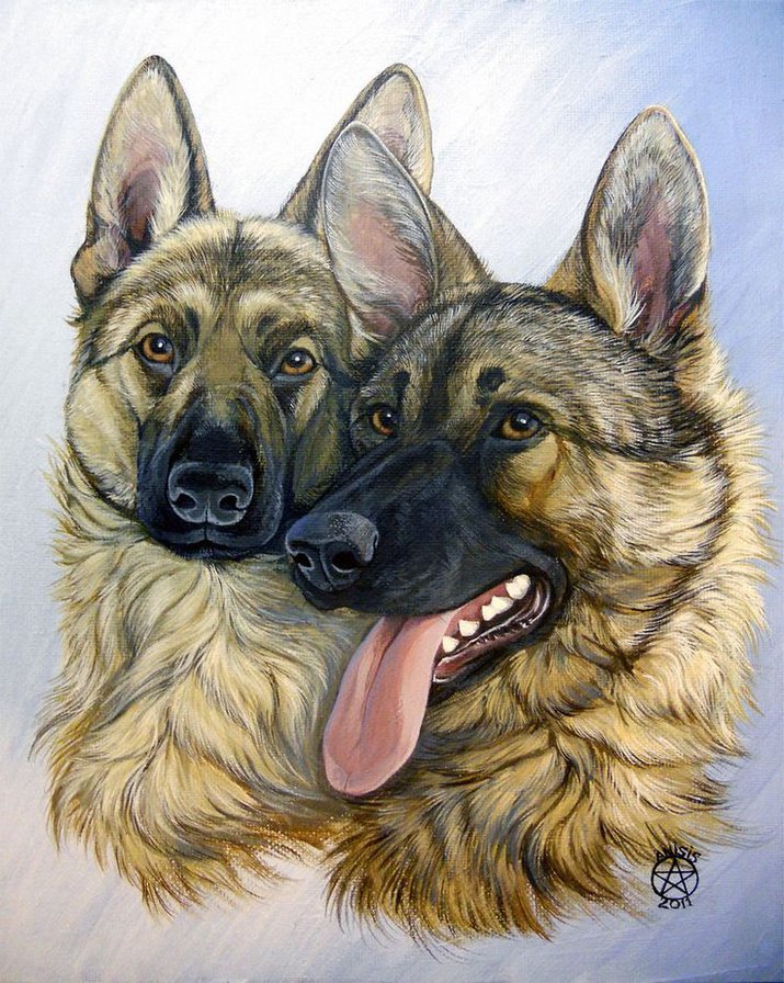 домашние любимцы - оригинал