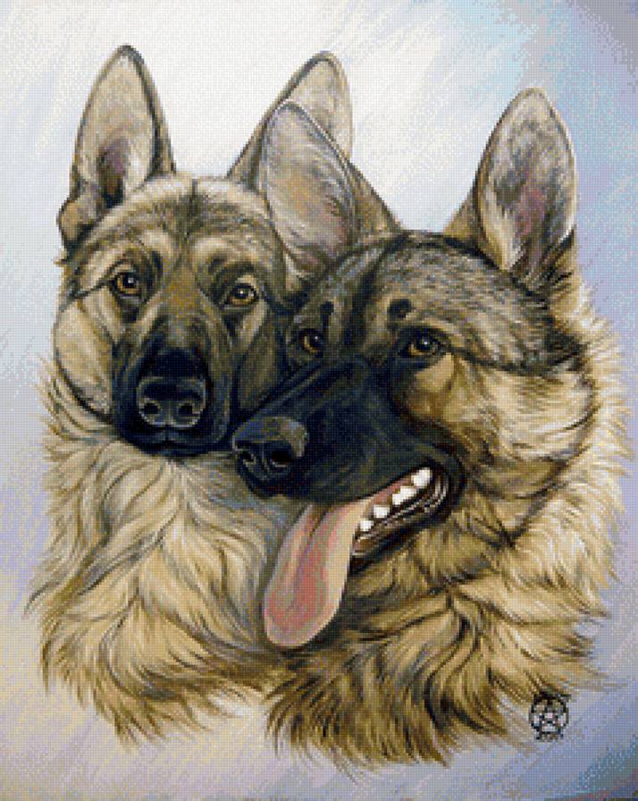 домашние любимцы - предпросмотр