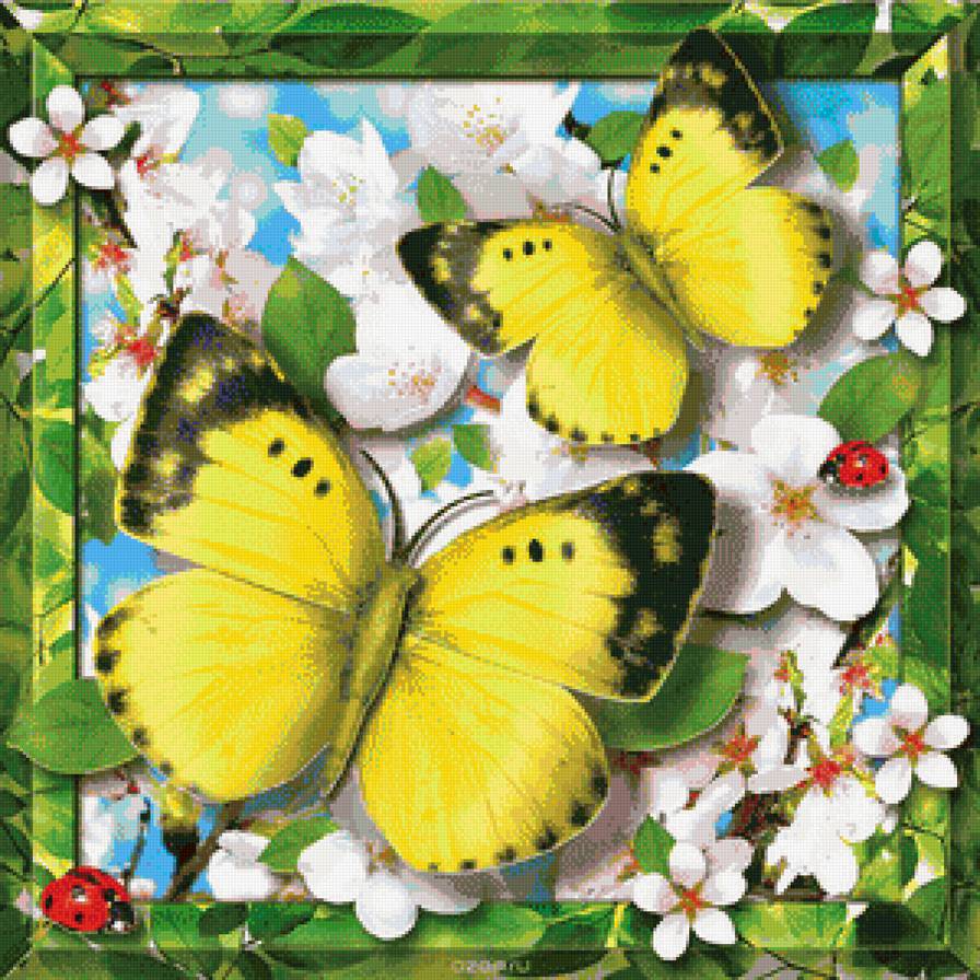 Бабочки - весна, бабочки, цветы, яблоня - предпросмотр