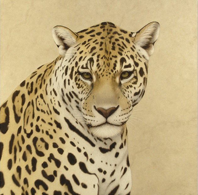 Портрет хищника - взгляд хищника, животные, кошки, глаза, леопард, портрет - оригинал