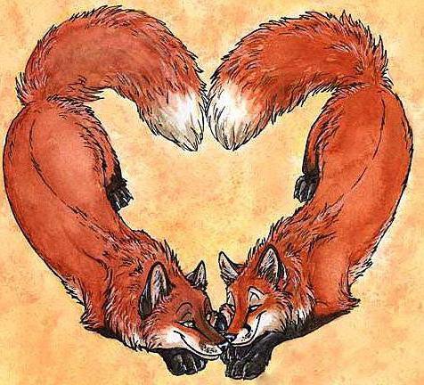 Любовь лисы - сердце, животные, рисунок, лис, чувства, лисята, лисы, любовь - оригинал