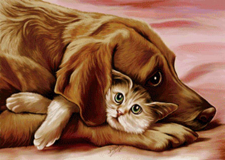 Друзья - животные, коты, собаки, кот - предпросмотр