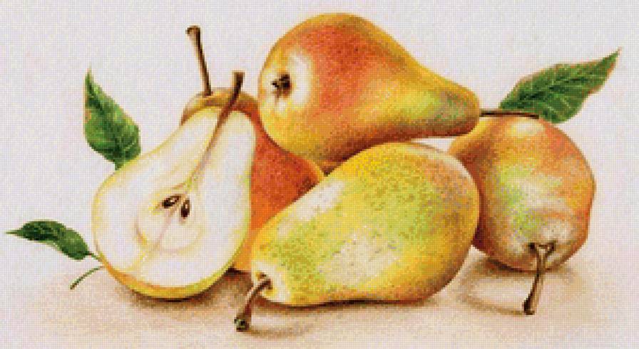 Груши - фрукты - предпросмотр