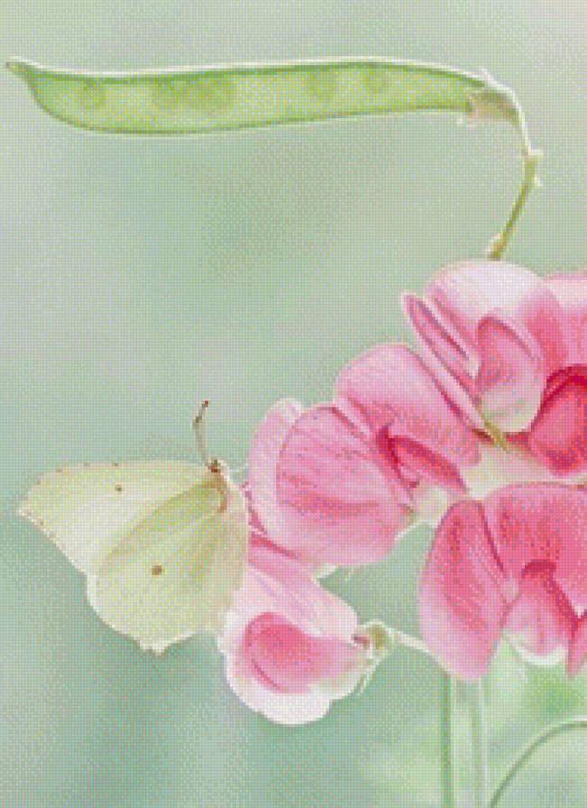 Бабочка и душистый горошек - предпросмотр