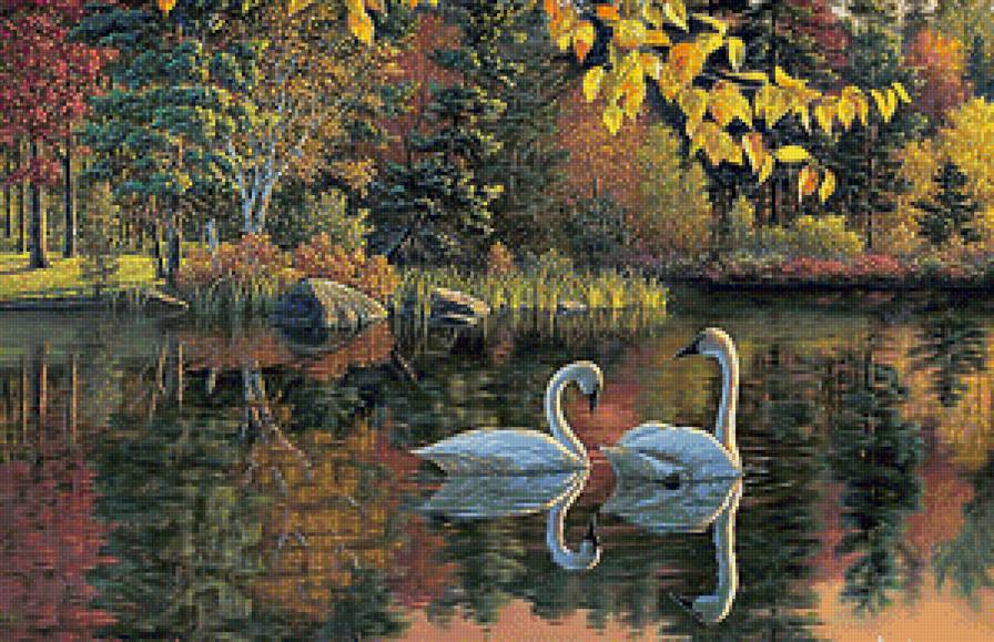 старый пруд - природа. пейзаж. лебеди.пруд.осень - предпросмотр