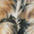Предпросмотр схемы вышивки «йокшеры» (№1226565)