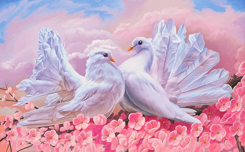 любовь и голуби - голуби, голубь, любовь, пара, птицы, розовые цветы, белый голубь - оригинал