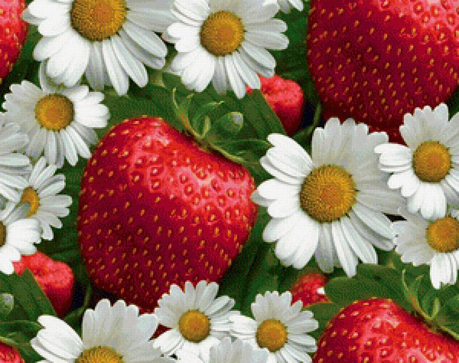 клубника с ромашками - предпросмотр