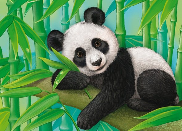 Панда - животные - оригинал
