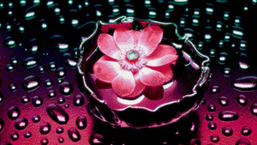 Цветок на воде - предпросмотр