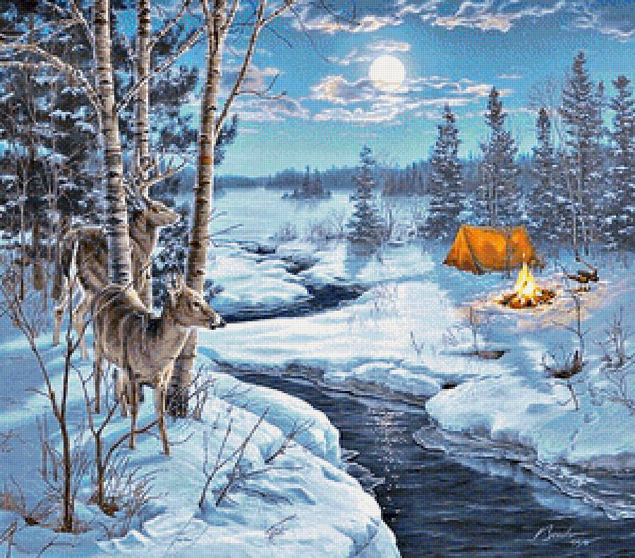 в лесу - природа. пейзаж. олени. лес. ночь - предпросмотр