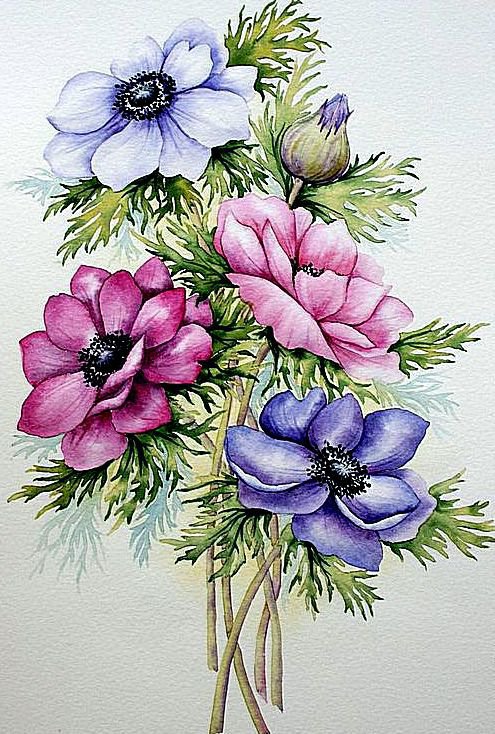 букет цветов - анемоны - оригинал