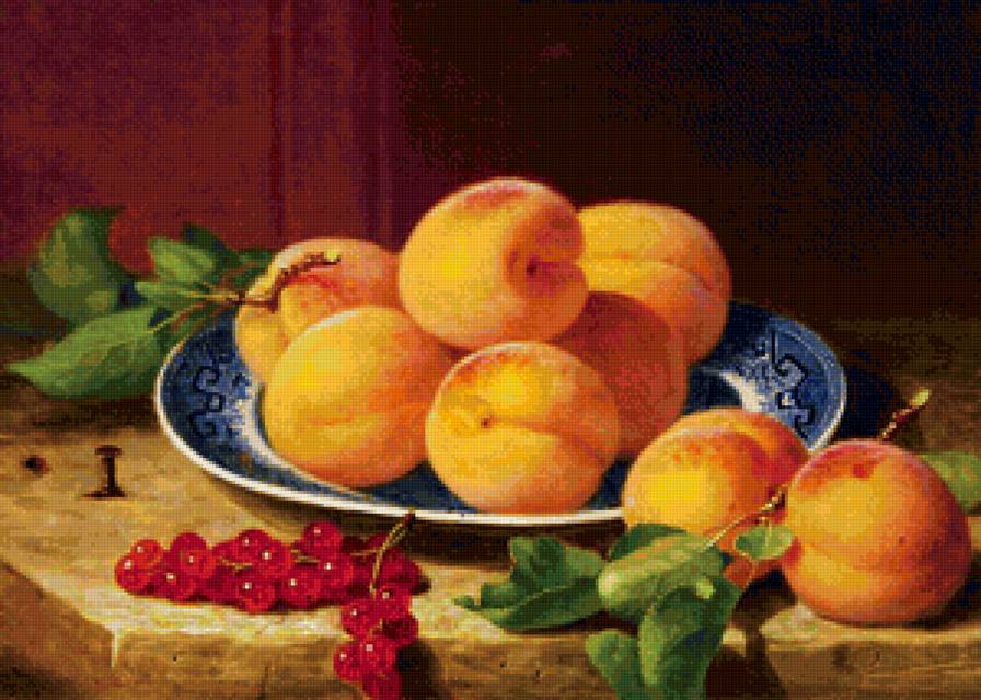 Абрикосы и красная смородина - ягоды, натюрморт, абрикосы, фрукты, для кухни, красная смородина - предпросмотр