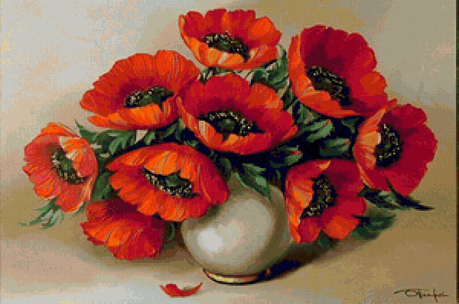 маки - предпросмотр