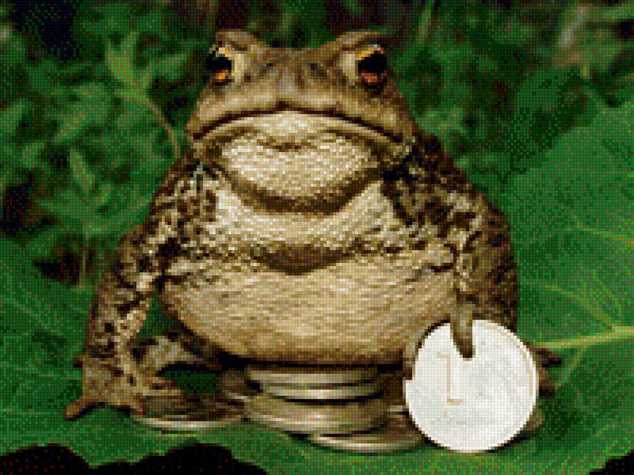 животные - жаба - предпросмотр