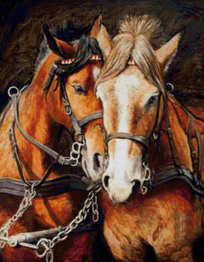 Отдых - кони, лошади, жеребец, любовь, портрет, животные, сладкая парочка - предпросмотр