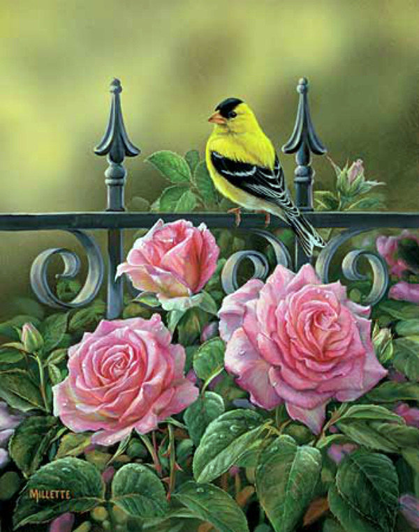 птица и розы - цветы, птицы - оригинал