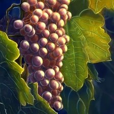 Схема вышивки «Виноградная гроздь»