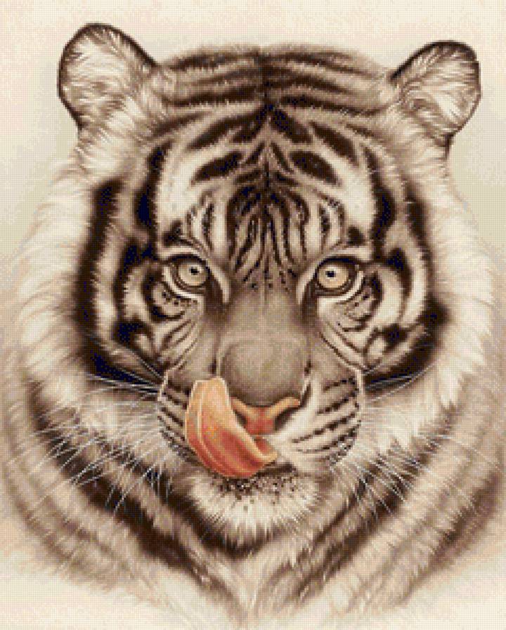белый тигр - тигр, хищники, белый тигр - предпросмотр