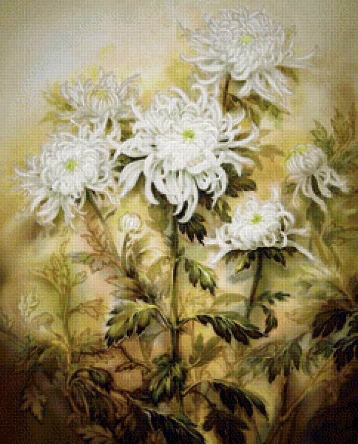 Хризантемы - картина, цветы - предпросмотр