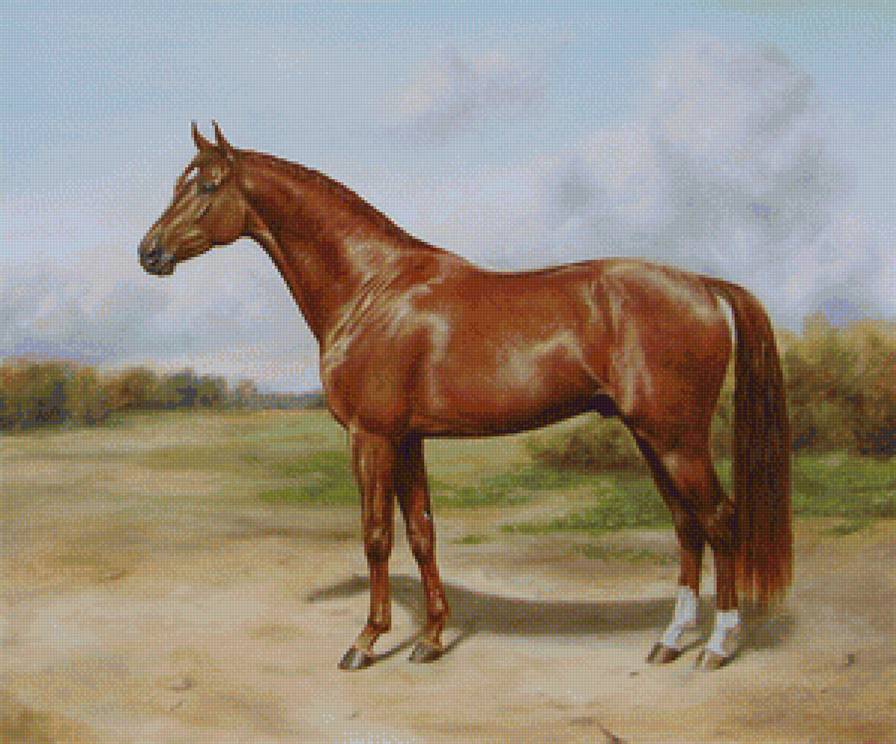 Худ. Дубинина Ю. Джаз Рубин - животные, природа, конь, лошадь - предпросмотр