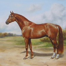 Худ. Дубинина Ю. Джаз Рубин