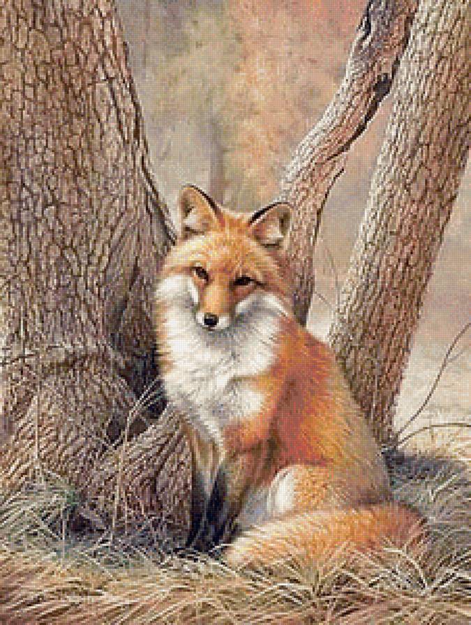 №1229981 - предпросмотр