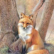 Схема вышивки «№1229981»