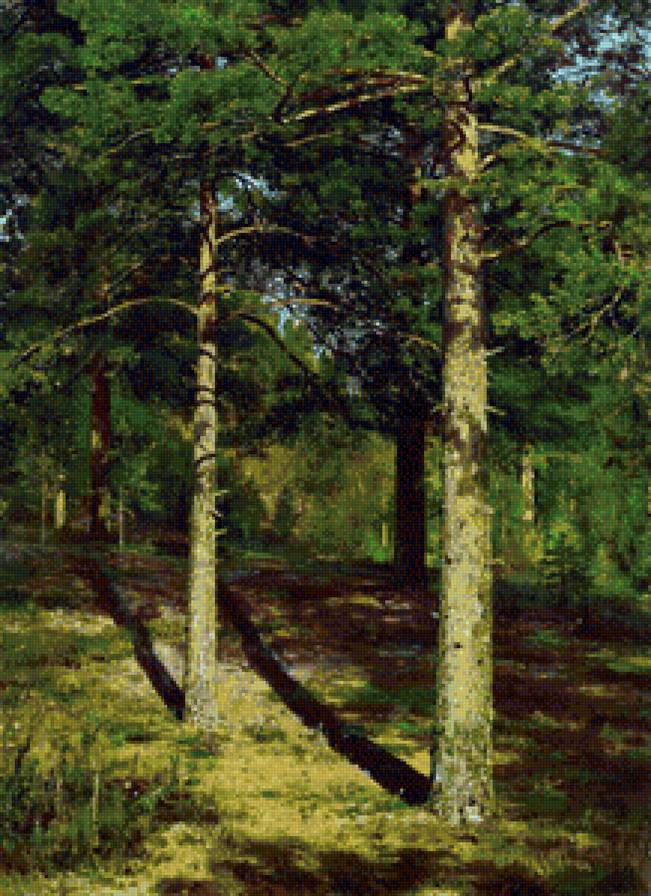 Шишкин, "Сосны, освещённые солнцем" - пейзаж, лес, сосны, русский лес, сосновый бор, природа, шишкин - предпросмотр