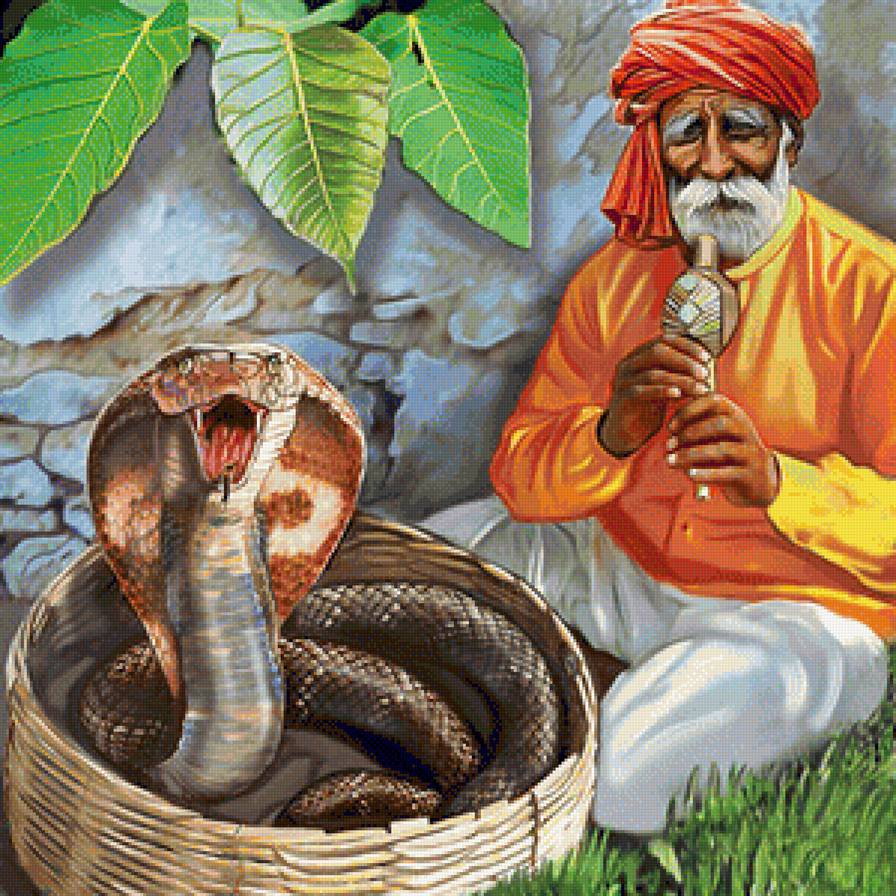 Заклинатель змей рассказ. Факир Заклинатель змей. Заклинатели змей в Индии. Индус Заклинатель змей. Индийская Дудка заклинателя змей.