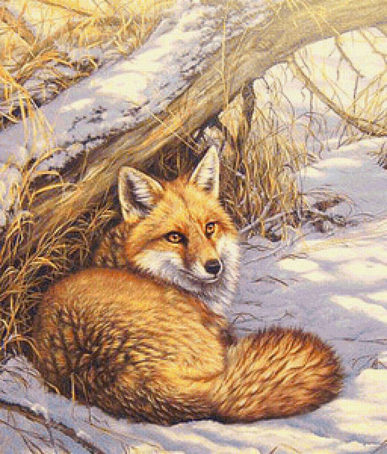 Лисичка - лесные жители - предпросмотр