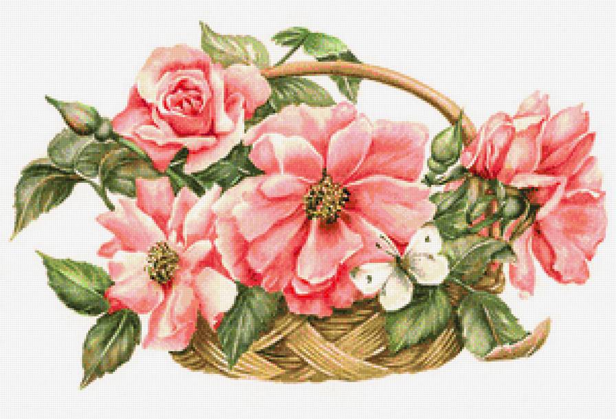 бабочки и цветы - букет, розы, роза, бабочка, розовые цветы, бабочки - предпросмотр