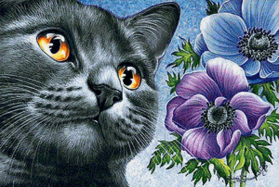 №1231361 - предпросмотр