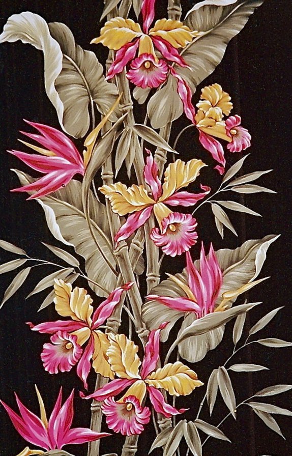 Орхидеи - цветы - оригинал