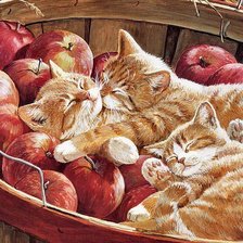 котята в яблоках