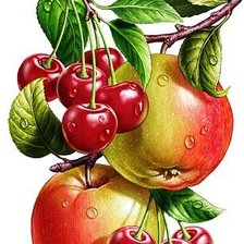 Оригинал схемы вышивки «яблоки и вишня» (№1231705)