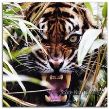 Схема вышивки «грозный тигр»