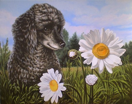 пудель в ромашках - оригинал