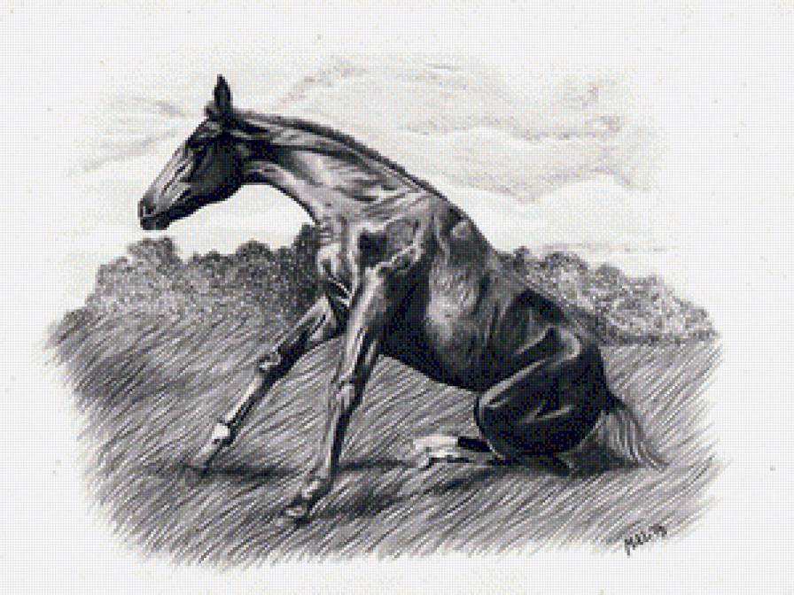 Beauty - beauty - предпросмотр