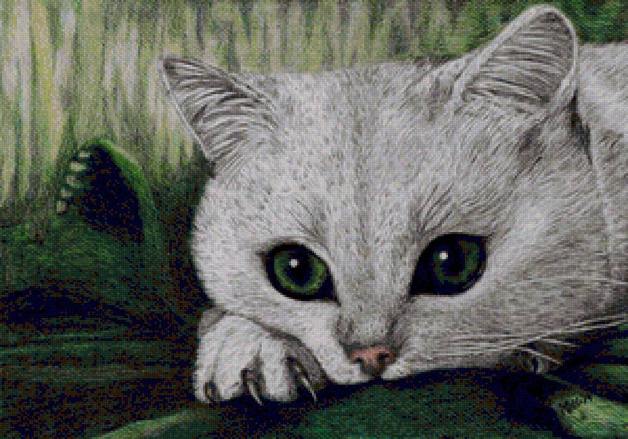 white kitty - white kitty - предпросмотр