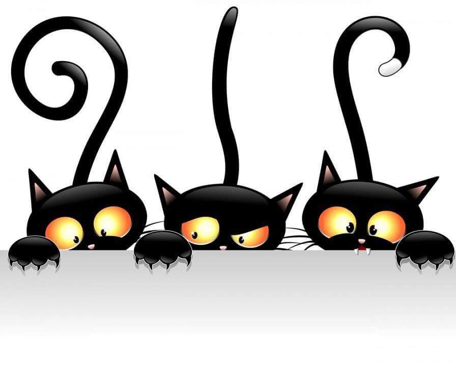 Three cats - three cats - оригинал