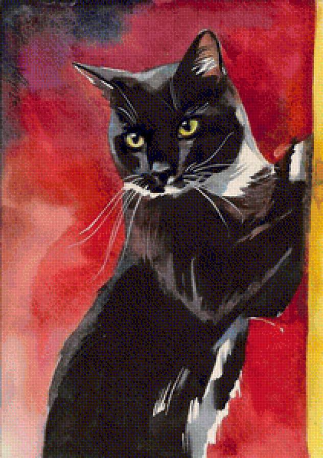 black cat - black cat - предпросмотр